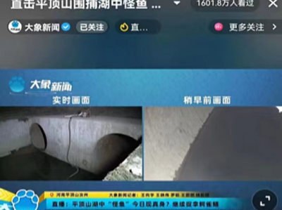 kaiyun官方网app下载app 论道短视频｜大象新闻：让用户看到更大的世界